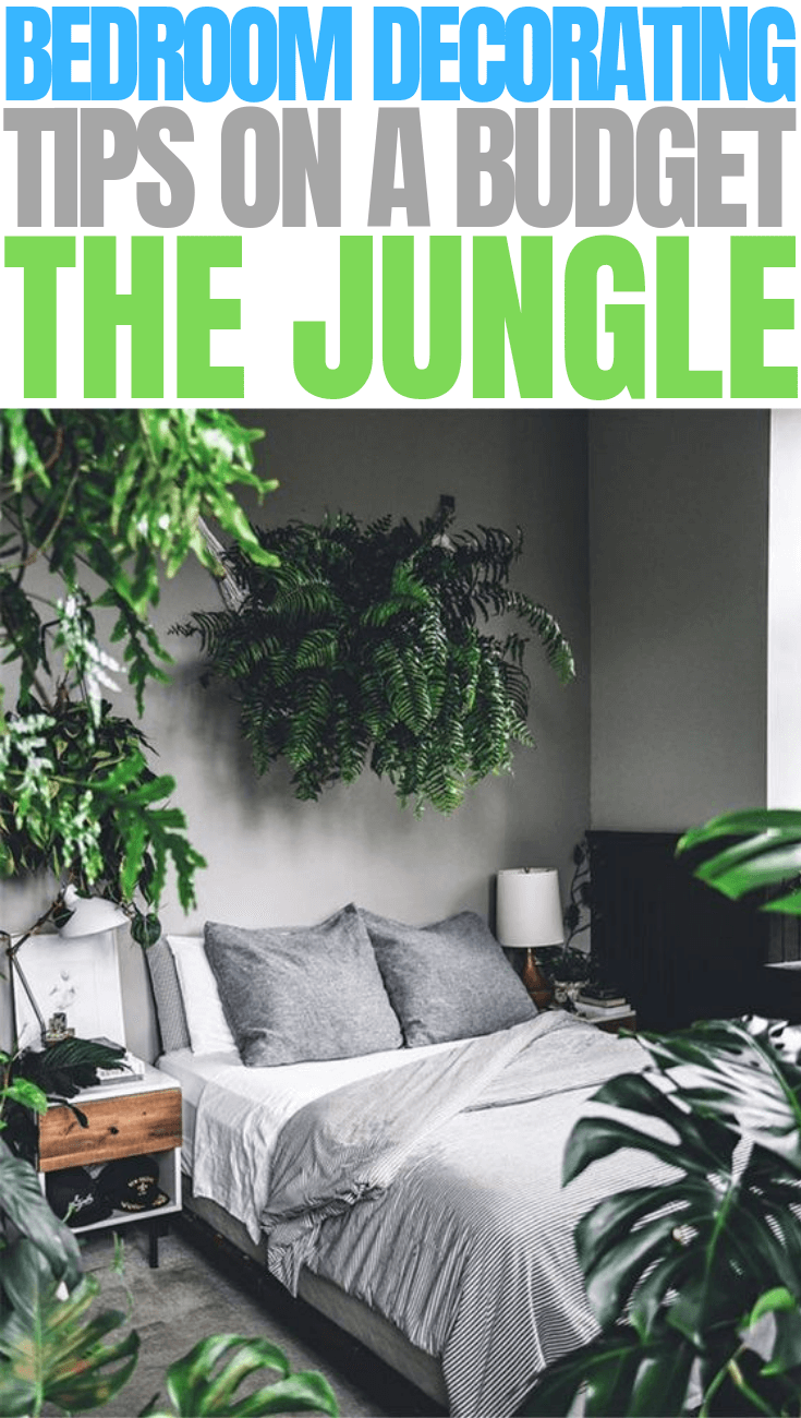BEDROOM DECORATING TIPS ON A BUDGET THE JUNGLE