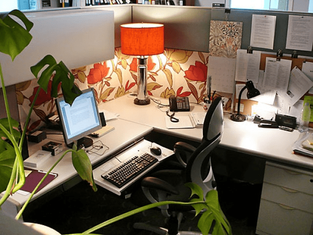 Cubicle walls decor