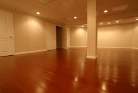 How to remove mold from basement walls How to remove mold from basement walls