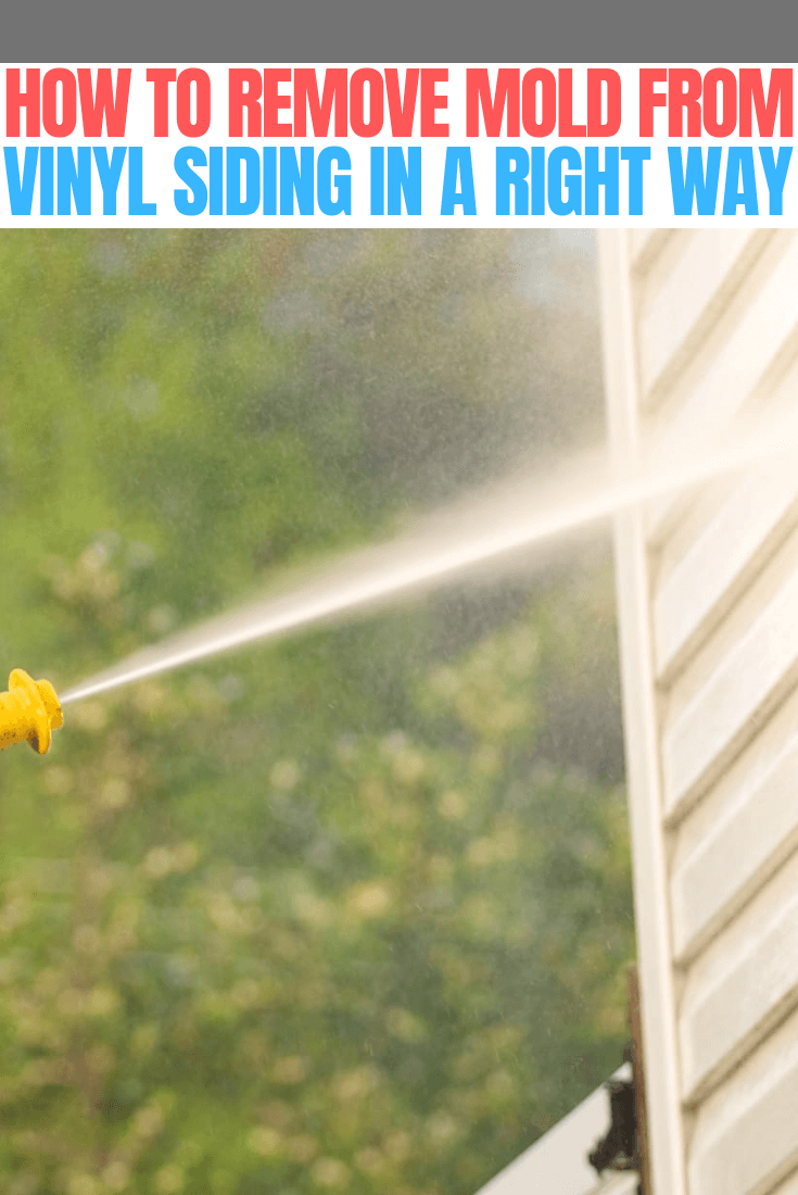 How to remove mold from vinyl siding in a right way