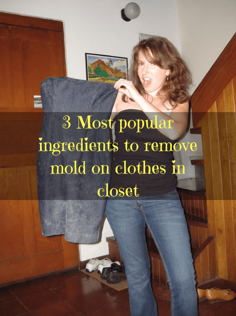3 Most popular ingredients to remove mold on clothes in closet