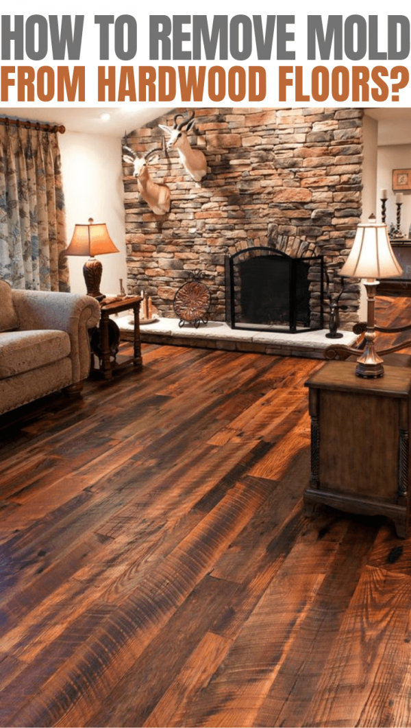 6 Tips on How to Remove Mold from Hardwood Floors