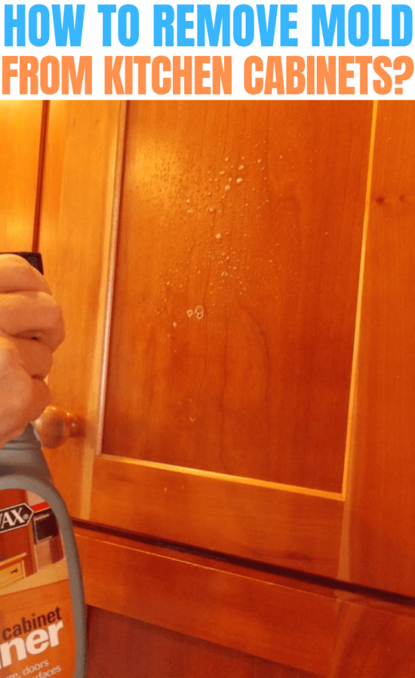 How to Remove Mold from Kitchen