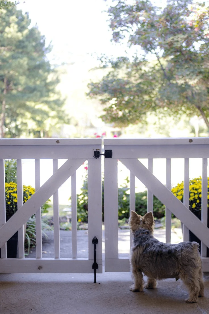 Front porch dog gate
