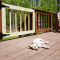 Porch Gate for Dogs