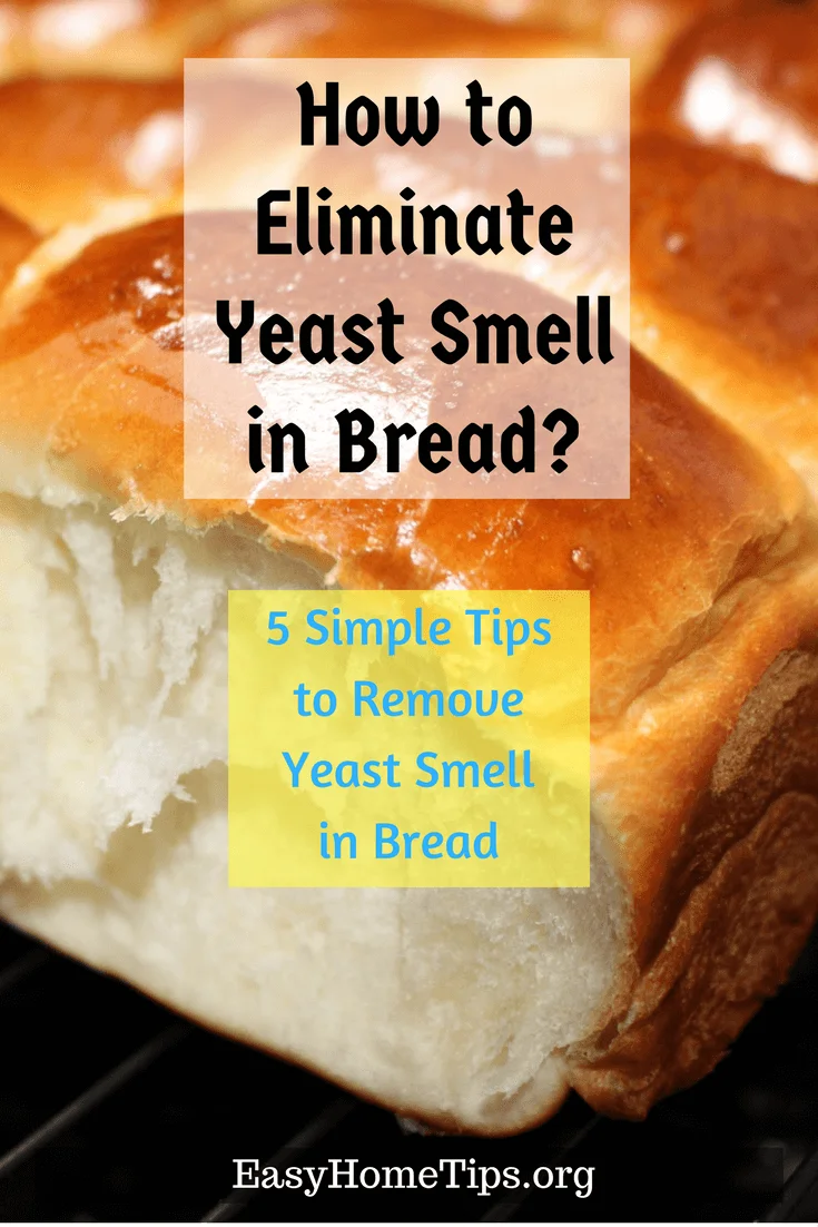 4 Simple Tips to Eliminate Yeast Smell in Bread