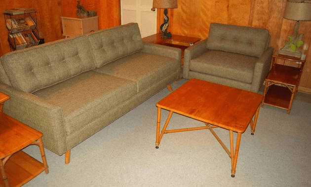 6 Easy Way How to Remove Vomit Smell from Couch