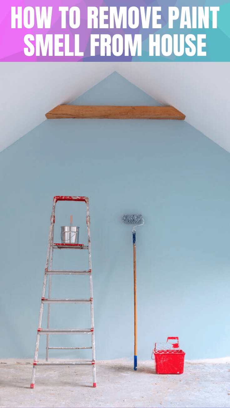 HOW TO REMOVE PAINT SMELL FROM HOUSE