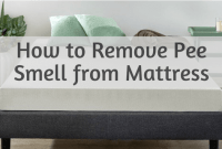 How to Remove Pee Smell from Mattress How to Remove Pee Smell from Mattress