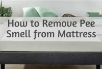 How to Remove Pee Smell from Mattress