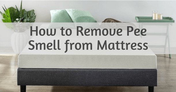 How to Remove Pee Smell from Mattress