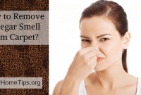 How to remove vinegar smell from carpet How to remove vinegar smell from carpet