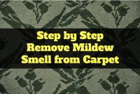 Step by Step Remove Mildew Smell from Carpet Step by Step Remove Mildew Smell from Carpet