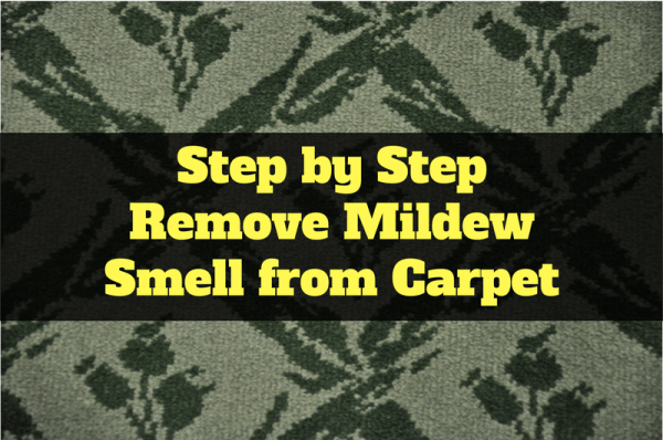 How To Get Odor Out Of Carpet (step-by-step Guide)