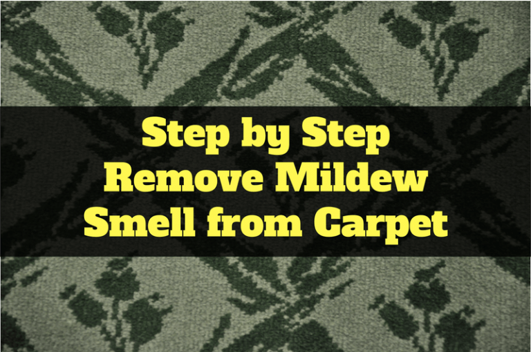 Step by Step Remove Mildew Smell from Carpet