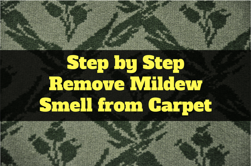 step-by-step-remove-mildew-smell-from-carpet