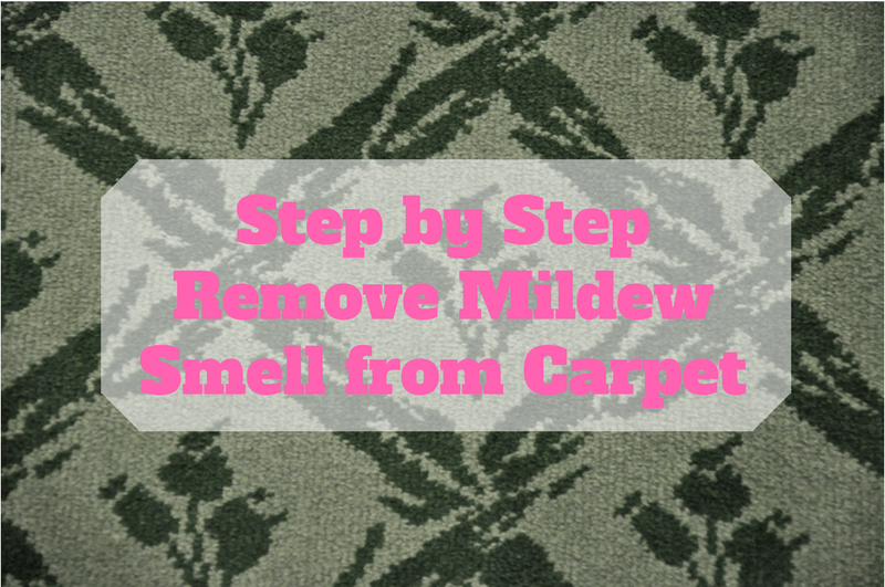 Step by Step Remove Mildew Smell from Carpet