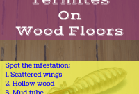 How To Get Rid Termites On Wood Floors How To Get Rid Termites On Wood Floors
