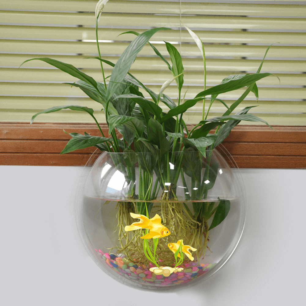 Acrylic fishbowl hanging pot wall mounted