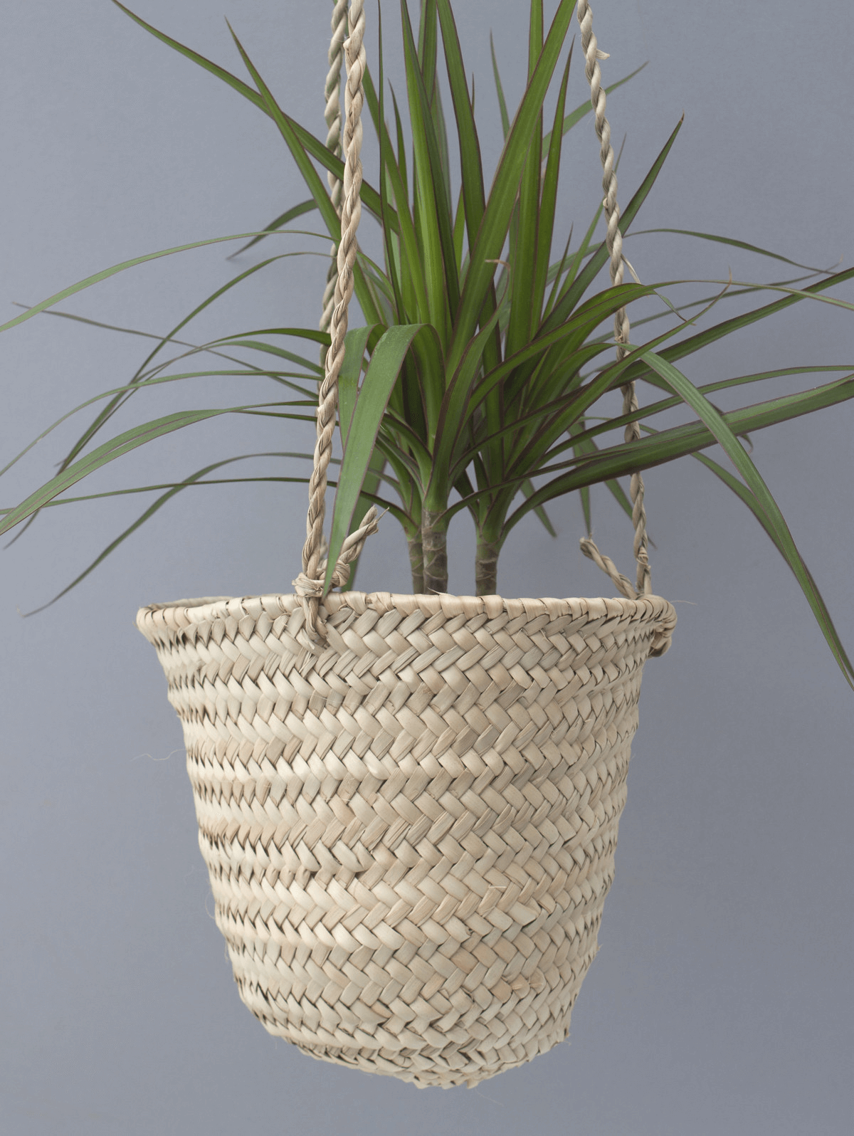 Bohemia basket hanger small pot for indoor or porch