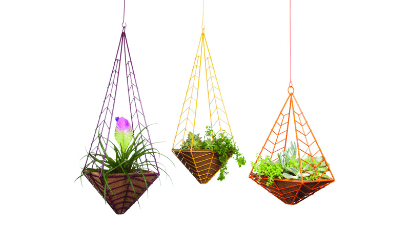 Colorful wire frames hanging palm pot creative for indoor