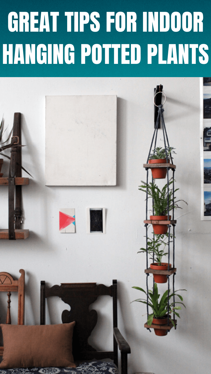 GREAT TIPS FOR INDOOR HANGING POTTED PLANTS