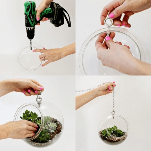 How to create DIY fishbowl hanging pot plant
