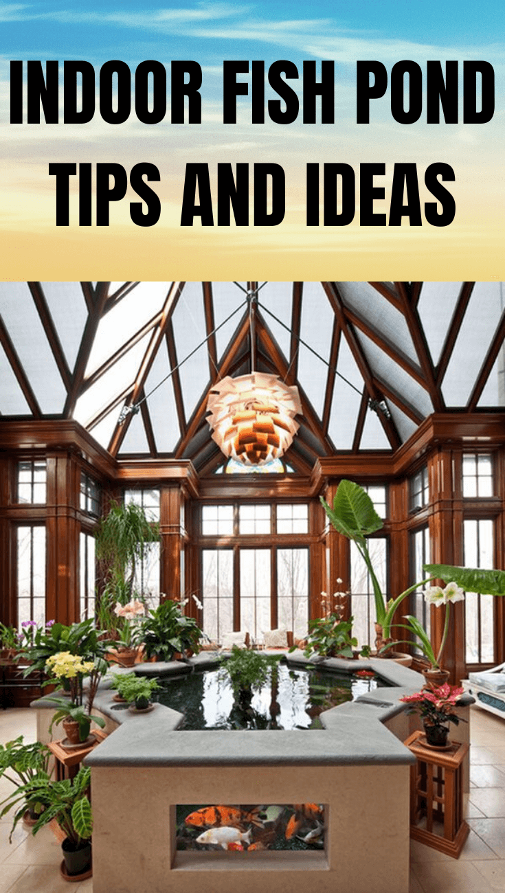 INDOOR FISH POND TIPS AND IDEAS