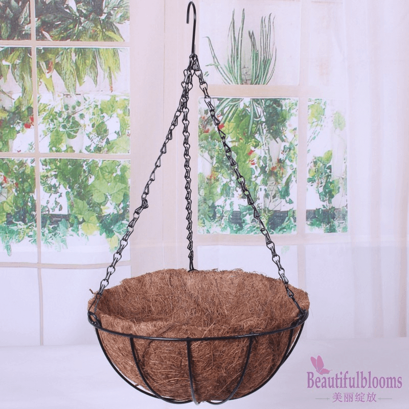 Palm pot hanging plant design ideas for indoor