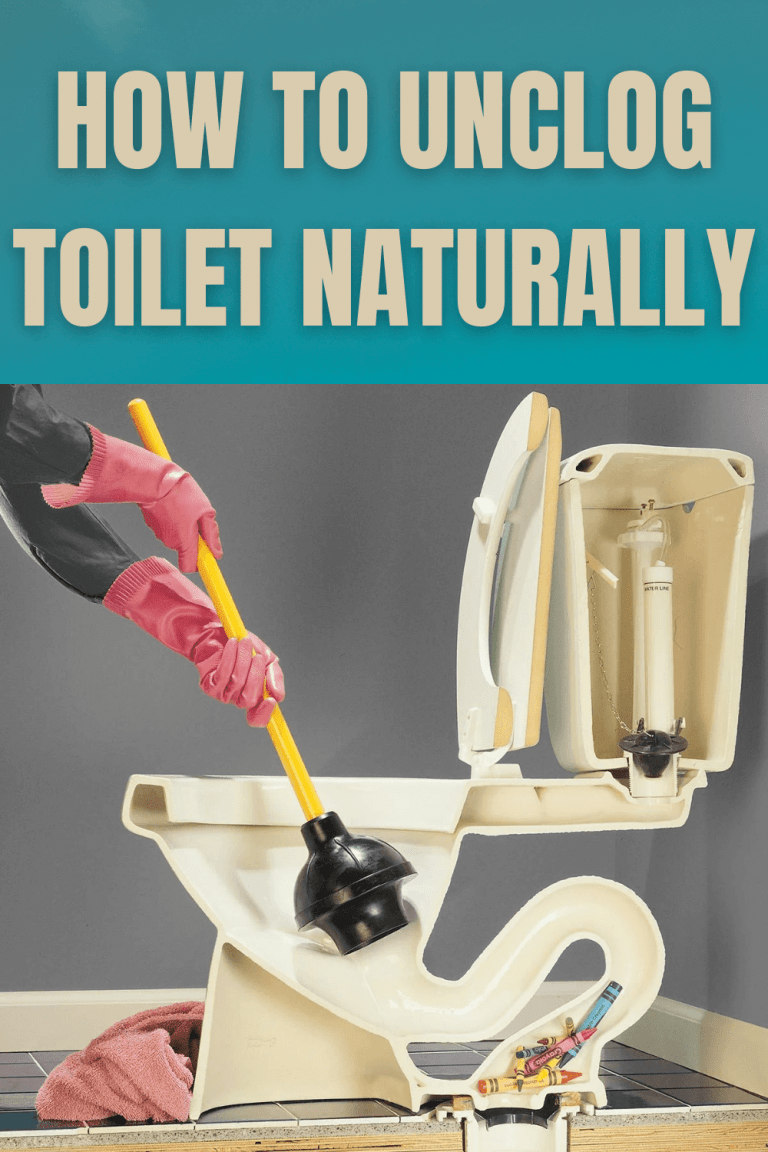 How to Unclog Toilet Naturally