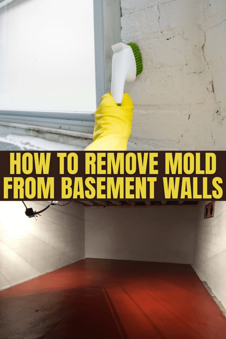 How to Remove Mold from Basement Walls
