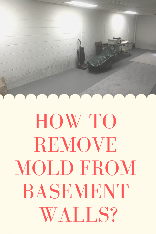 How to Remove Mold from Basement Walls