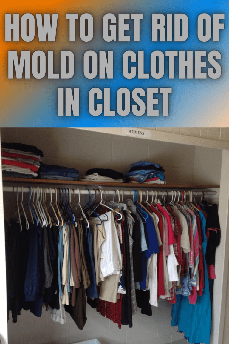 how to prevent mold and mildew in closets