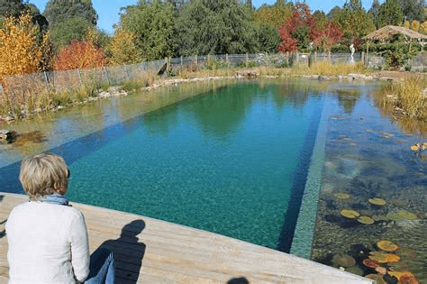 Natural swimming green pool design ideas