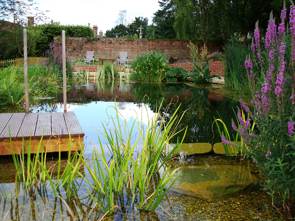 Natural swimming pool design ideas