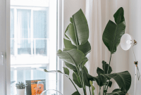 10 Affordable Ways to Transform Your Living Room 10 Affordable Ways to Transform Your Living Room