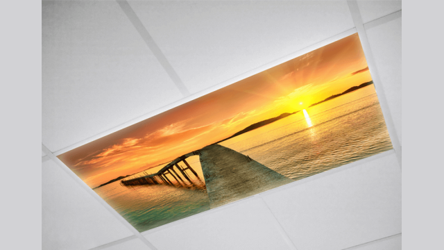 Beach Fluorescent light covers