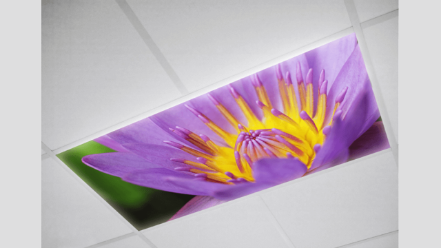 Flower Fluorescent light covers