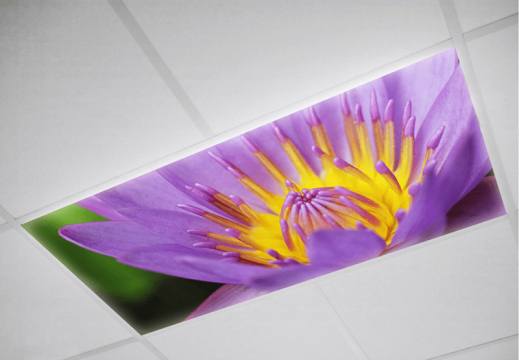 Flower Fluorescent light covers