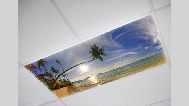 Landscaper Fluorescent light covers