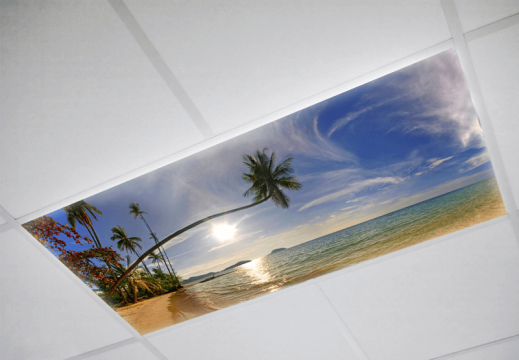 Landscaper Fluorescent light covers