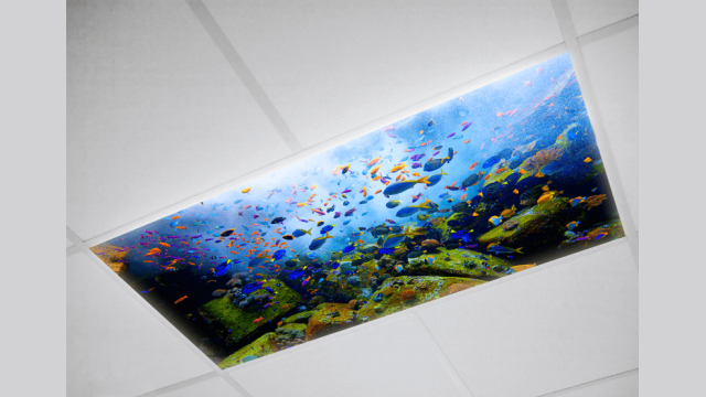 Ocean Fluorescent light covers