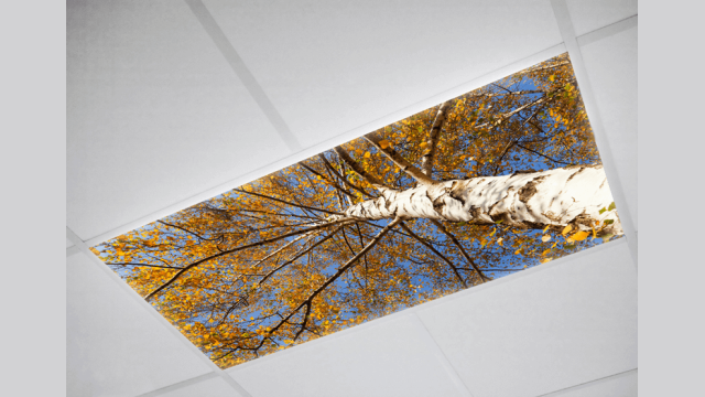 Tree Fluorescent light covers